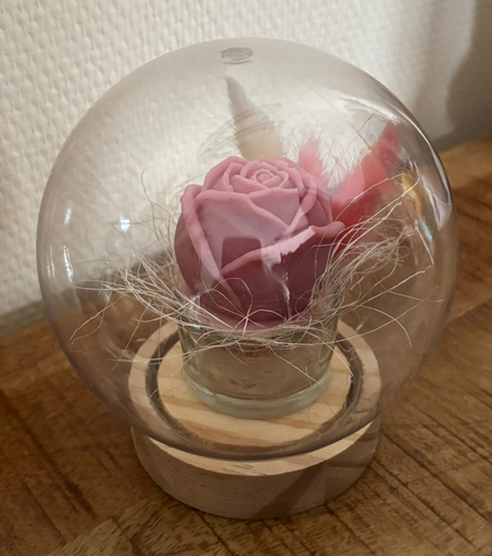 Rose éternelle